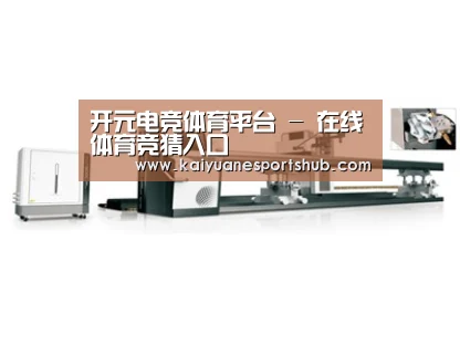 案例展示五